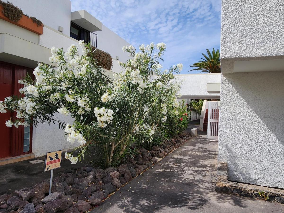 Appartamento Casa De Mariposas Costa Del Silencio Esterno foto